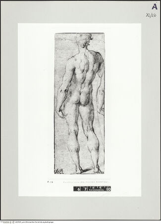 Vorderseite von bh503041_recto