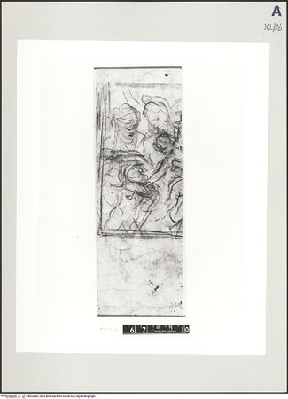 Vorderseite von bh503042_recto