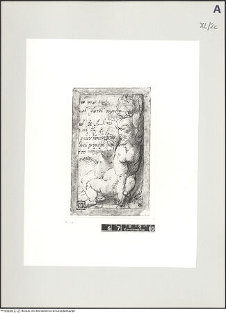 Vorderseite von bh503046_recto