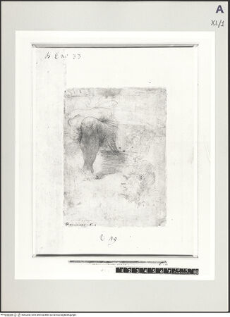 Vorderseite von bh503048_recto