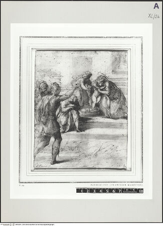 Vorderseite von bh503051_recto