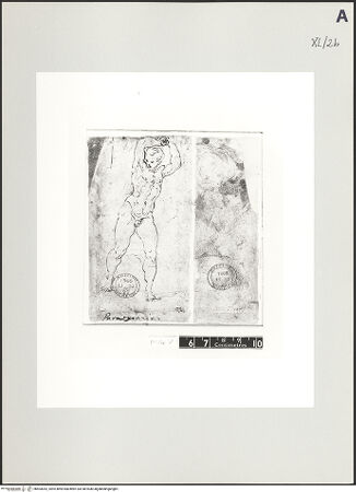 Vorderseite von bh503052_recto