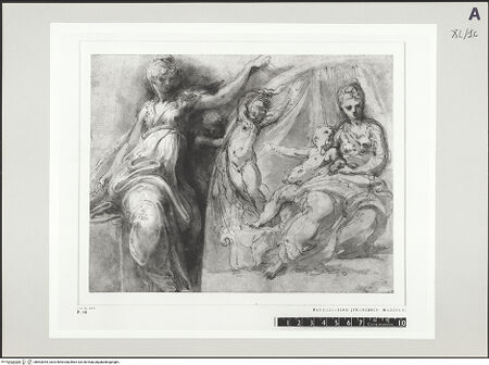 Vorderseite von bh503054_recto