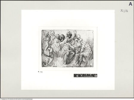 Vorderseite von bh503056_recto