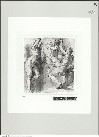 Vorderseite von bh503058_recto