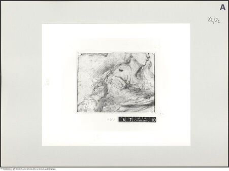 Vorderseite von bh503059_recto