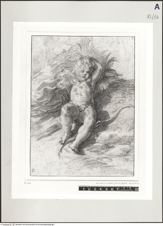 Vorderseite von bh503060_recto