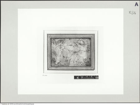 Vorderseite von bh503061_recto