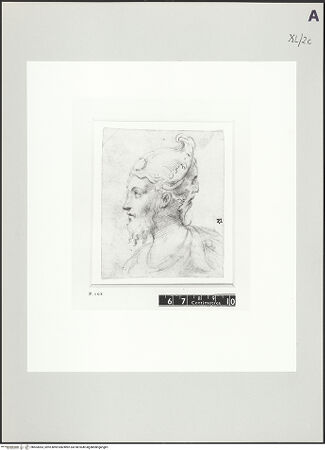 Vorderseite von bh503063_recto