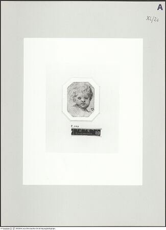 Vorderseite von bh503064_recto