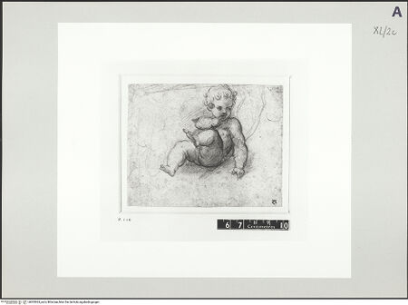 Vorderseite von bh503065_recto