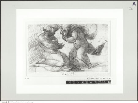 Vorderseite von bh503071_recto