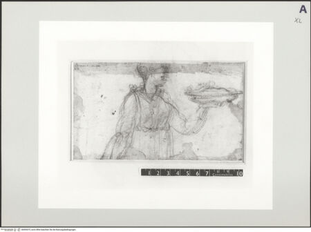 Vorderseite von bh503072_recto