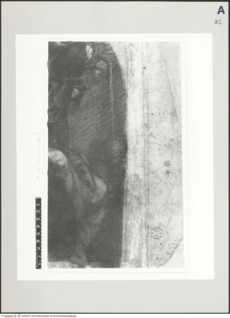 Vorderseite von bh503074_recto