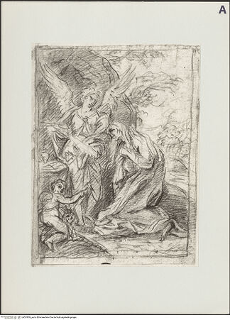 Vorderseite von bh503086_recto