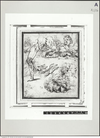 Vorderseite von bh503088_recto