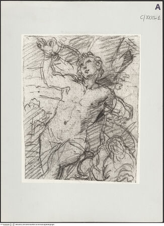 Vorderseite von bh503093_recto