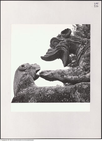 Vorderseite von bh503102_recto