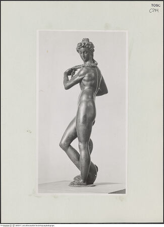 Vorderseite von bh503111_recto