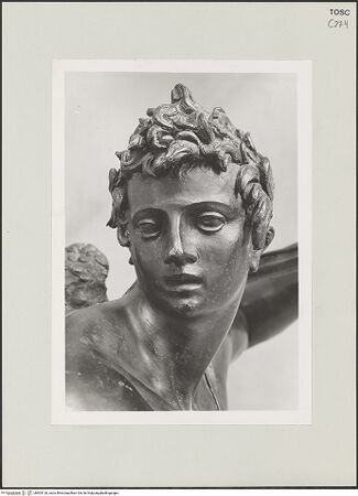 Vorderseite von bh503120_recto