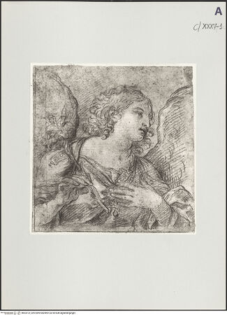 Vorderseite von bh503132_recto