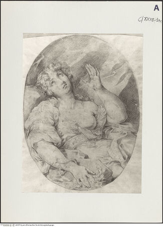 Vorderseite von bh503154_recto