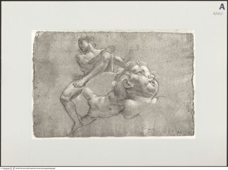 Vorderseite von bh503158_recto