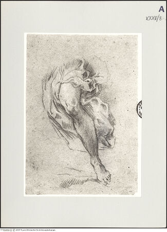 Vorderseite von bh503170_recto