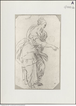 Vorderseite von bh503171_recto