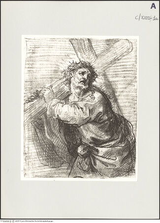 Vorderseite von bh503172_recto