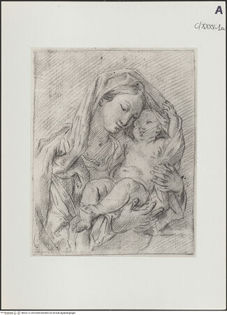 Vorderseite von bh503173_recto