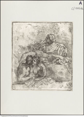 Vorderseite von bh503182_recto