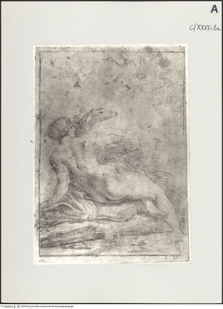 Vorderseite von bh503183_recto