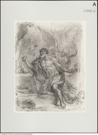 Vorderseite von bh503187_recto