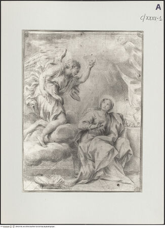 Vorderseite von bh503188_recto