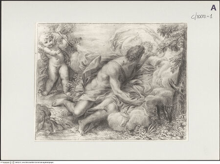 Vorderseite von bh503191_recto