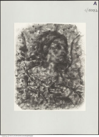 Vorderseite von bh503192_recto