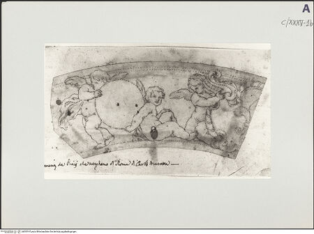 Vorderseite von bh503197_recto