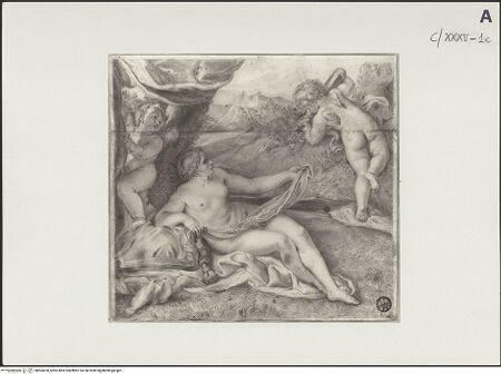 Vorderseite von bh503200_recto