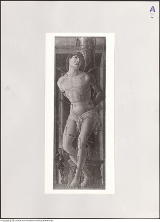 Vorderseite von bh503236_recto