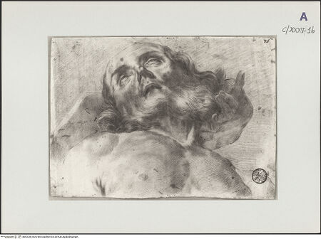 Vorderseite von bh503248_recto