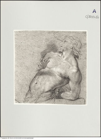 Vorderseite von bh503253_recto