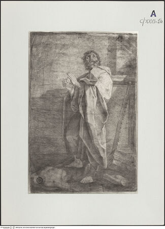 Vorderseite von bh503256_recto