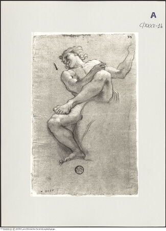 Vorderseite von bh503261_recto