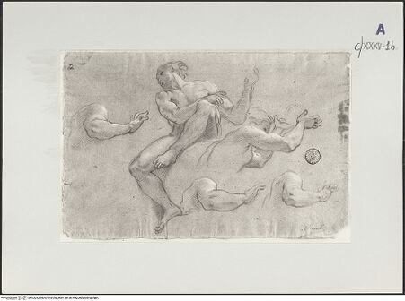 Vorderseite von bh503262_recto