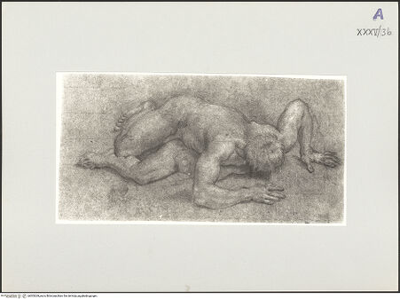 Vorderseite von bh503269_recto