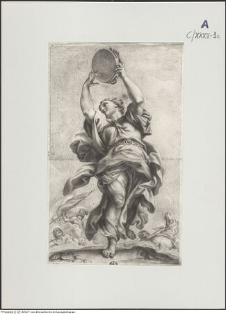 Vorderseite von bh503271_recto