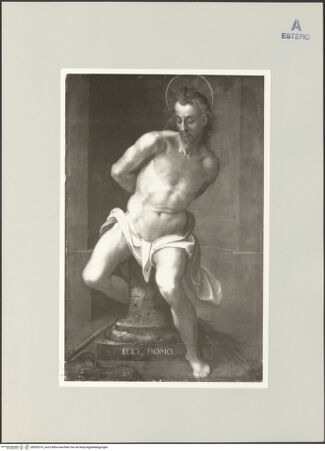 Vorderseite von bh503319_recto