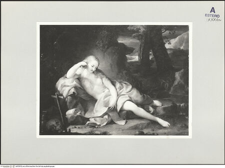 Vorderseite von bh503332_recto