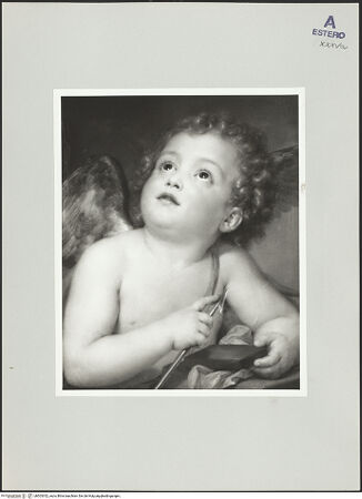 Vorderseite von bh503352_recto